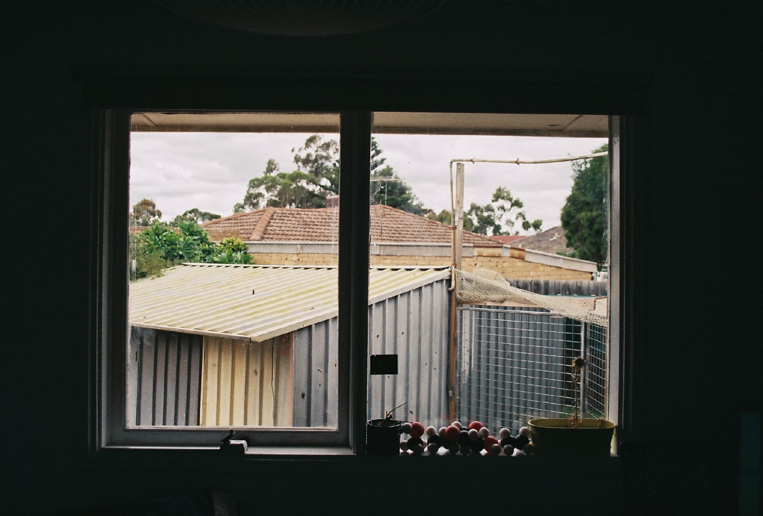 Protect Your Shed