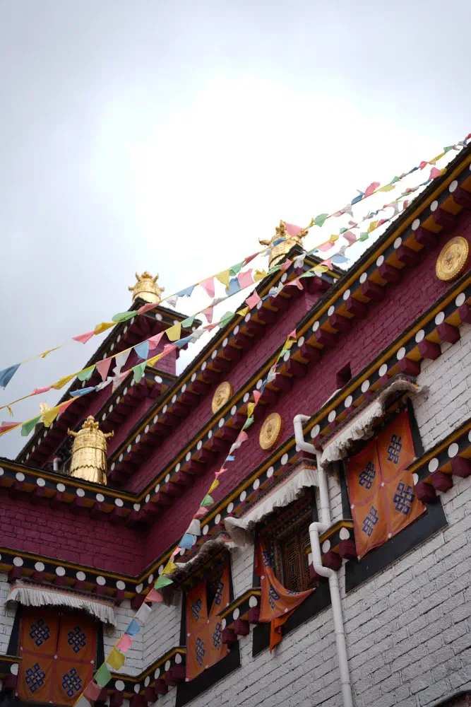 DSC01126.jpg